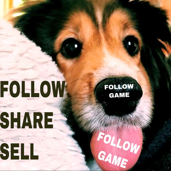 follow game Tops - 🌟🌈PUPPY FOLLOW GAME💗🐶